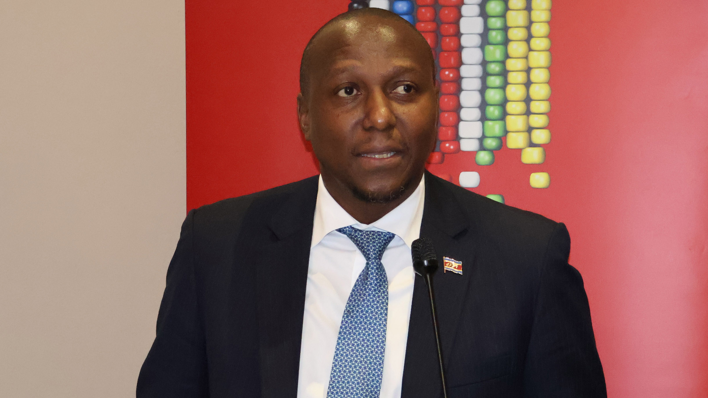 PM: Tinkhundla system misunderstood